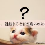枕が合わないと悩む人必見。タオルで調整する自作枕の作り方。