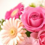 バレンタインに男性から花をプレゼントされて告白されたら嬉しいか？