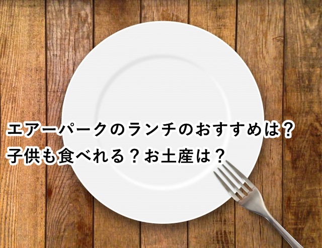エアーパークのランチのおすすめは?子供も食べれる?お土産は?
