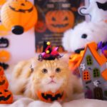 ハロウィンの折り紙のリース　簡単な作り方や飾り方のコツ