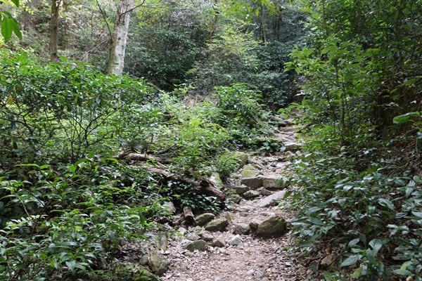 金華山の登山の服装は?靴は?初心者の持ち物で注意するのはココ!
