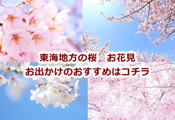 東海地方の桜 お出かけおすすめ!開花情報やライトアップ・桜祭り屋台などご紹介!